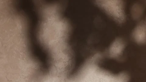 Drifting maple leaf shadows on textured beige wall for autumn backgrounds, .. Stock Footage 345089962