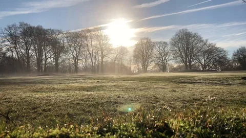 Drifting mist on a golf course Stock Footage 101483025