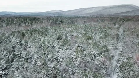 Drifting Over Snowy Trees Towards Mountains Stock Footage 295006494
