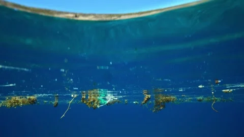 Drifting Plastic Waste on the Ocean Surface Vidéo 332782489