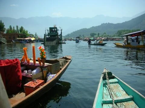 Drifting in the river Stock Photos