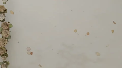Drifting rose petals falling from top and settling on cream backdrop near 動画素材 339722086