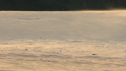 Drifting sand in an sand storm Video stock 94082910