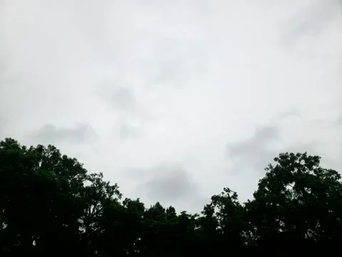 Drifting Sky in North Florida ahead of Hurricane Elsa Stock Footage 156867059