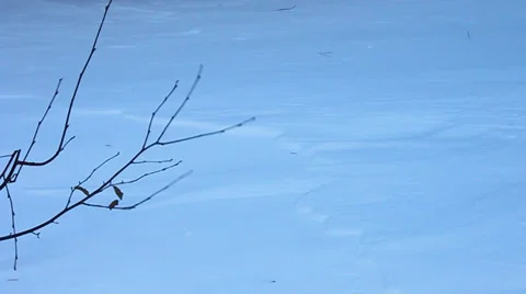 Drifting Snow in Colorado Видео 32328311