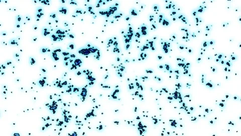 Drifting Speckles in Ethereal Organic Patterns Speckled Texture Background Stock Footage 302701133