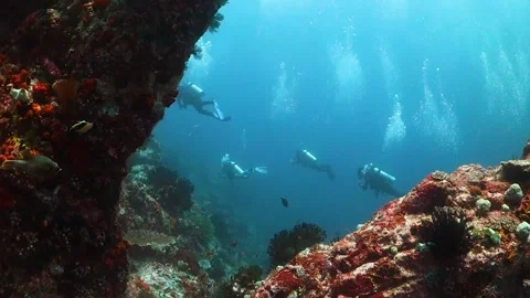 Drifting through gap in the reef with divers swimming in the background Video stock 130237185