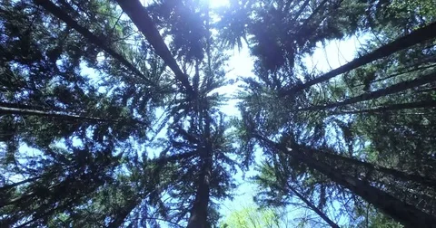 Drifting Through A River Channel In The Danube Delta Stock Footage 79256794