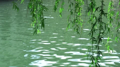 Drifting Willow River, Beijing Miyun Ancient North Water Town, Jiangnan Water To Stock Footage 243041630
