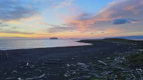 Driftwood, 4k Video stock 155308917