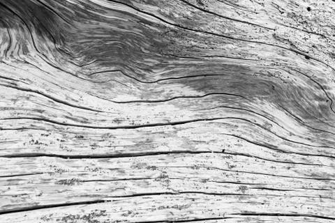 Driftwood abstract pattern Stock Photos