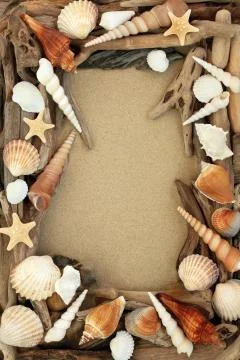 Driftwood and Seashell Background Border Stock Photos