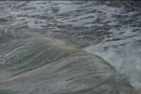 Driftwood Ashore Vidéo 527445