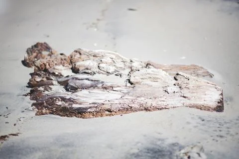 Driftwood background Stock Photos