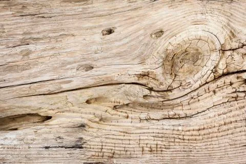 Driftwood background texture Photos