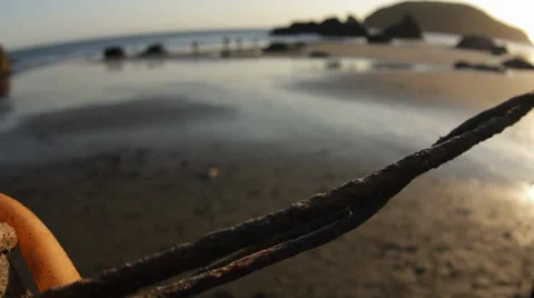Driftwood on the beach Stock Footage 37733317