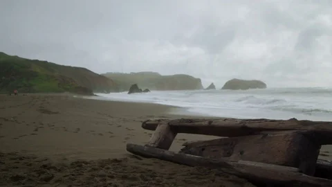 Driftwood on the Beach Video stock 76201276