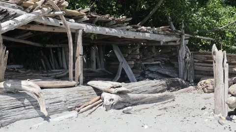 Driftwood Beach Hut Stock Footage 200982336