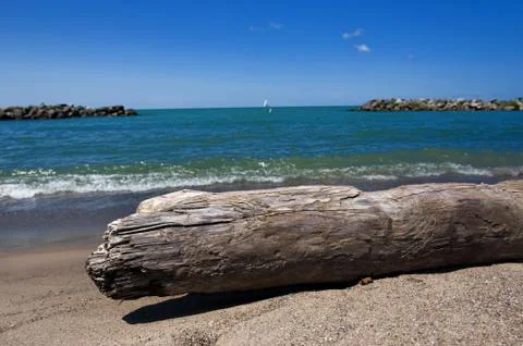Driftwood on beach Stock Photos
