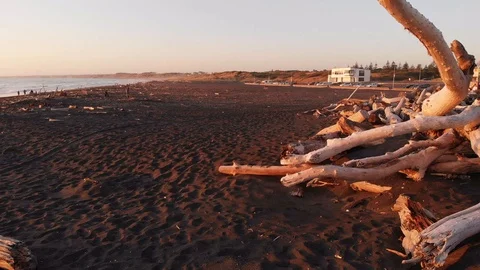 Driftwood Beach Rotating View Stock Footage 126693243