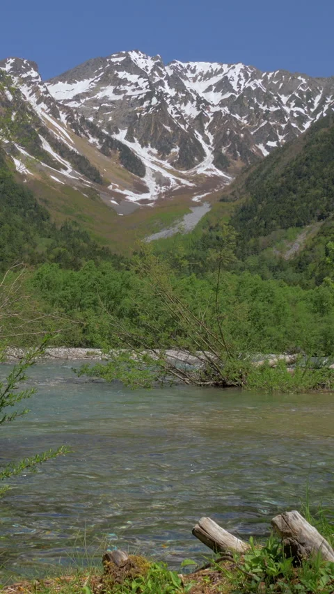 Driftwood in Clear River Under Snowy Mountain Vertical Video Video stock 346002397