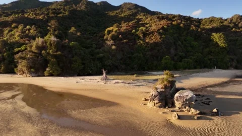 Driftwood firepit on empty beach at sunset in Abel Tasman National Park, New Stock Footage 336849599