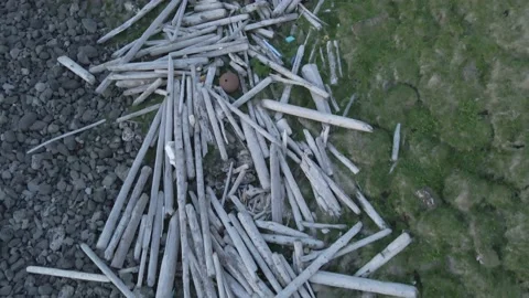 Driftwood Video stock 155308929