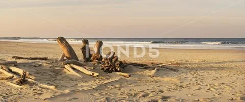 Driftwood on Heceta Beach taken at sunrise,Oregon, United States of America Stock Photos