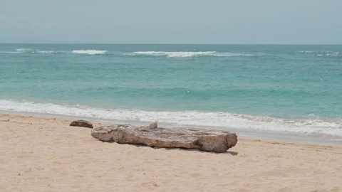Driftwood log beside rolling beach waves , Nusa Dua, Bali 库存影片 336515201