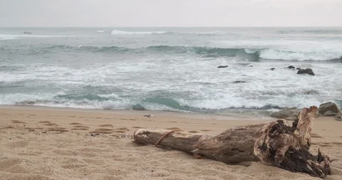 Driftwood log lying on beach as waves break in background Stock Footage 127133435