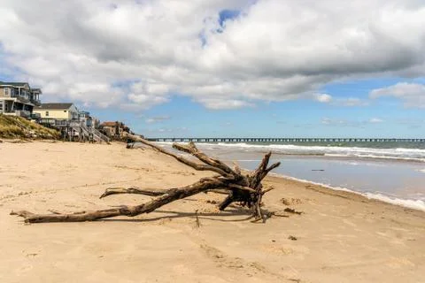 Driftwood Foto stock