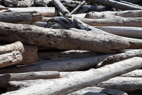 Driftwood Stock Photos