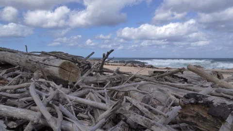 Driftwood piled on a sandy beach with ocean waves and clouds. Stock Footage 333892142