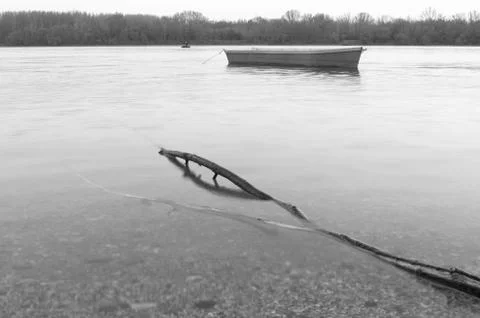 DriftWood in the River Stock Photos