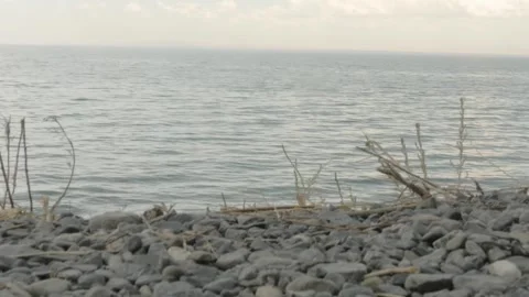Driftwood on Rocky Shore Stock Footage 342035328
