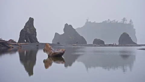 Driftwood scattered along Ruby Beach in Olympic National Park as ocean waves 스톡 동영상 327458992