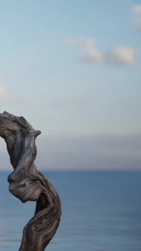 Driftwood sculpture near ocean during sunset reflecting light Stock Footage 339509853