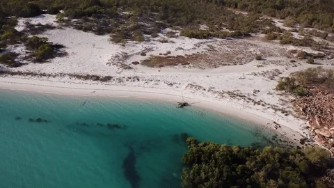 Driftwood on a Secluded Beach Stock Footage 113030521