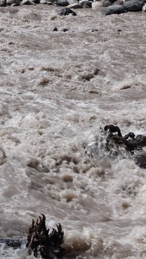 Driftwood in strong river current, rapids. Vertical Stock Footage 331427420