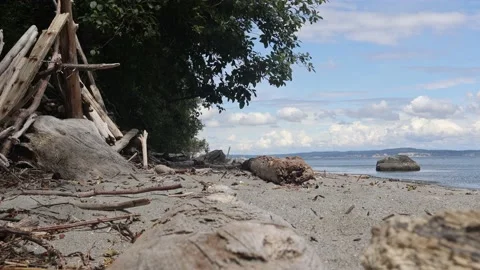 Driftwood Structure on the Beach Stock Footage 200905977