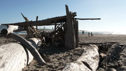 Driftwood Structure On Sandy Beach With Visitors Walking By Stock-Footage 104781816
