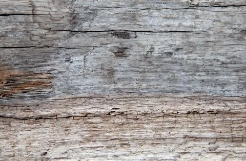 Driftwood texture Stock Photos