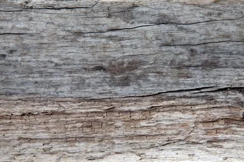 Driftwood texture Stock Photos