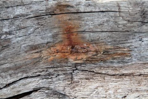 Driftwood texture Stock Photos