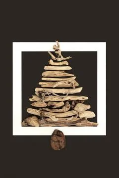 Driftwood Tree Concept Background Border Frame 写真素材