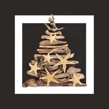 Driftwood Tree with Starfish Seashell Zen Art Frame 写真素材