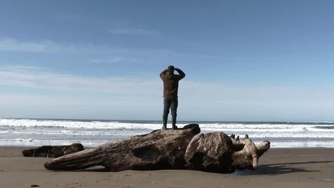 Driftwood Viewpoint On The Oregon Coast Stock Footage 72126525