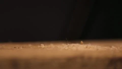 Drill 01 Stock Footage 10843044