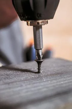 Drill Bit Driving Screw Vertically Into Wood Stock Photos