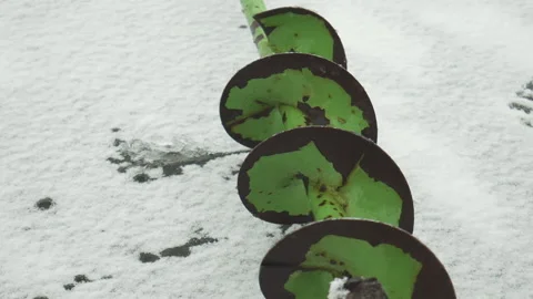 Drill for drilling holes in winter fishing close up Vídeo Stock 144176053